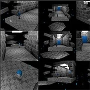 9 Cam Online Arcade Game
