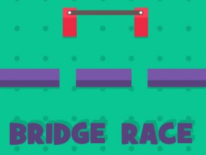 Bridge Race: Test of Precision Online Game