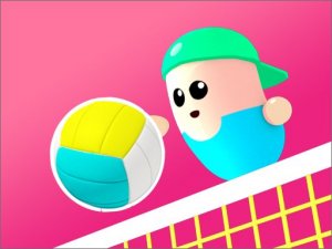 Valley Ball Online Game