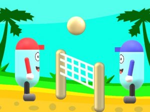 Beach Volleyball Online Game