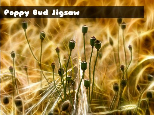 Poppy Bud Jigsaw Puzzle