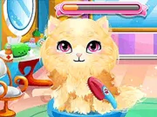 Feline Friend Care Journey