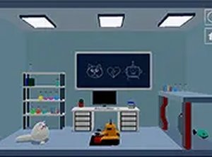 Schrodinger&rsquo;s Dual Cat Puzzle Game Online